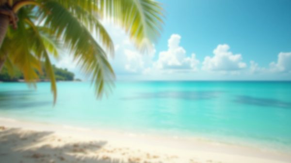 Location voiture Martinique : votre voyage commence ici !